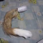 5-Size Metal Butt Plug with Fox Tail – BDSM Anal Dilator & Fetish Toy for Adults photo review